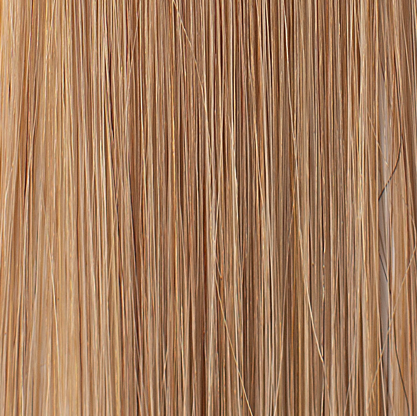 Sunlit Silk - Tape-In Hair Extensions
