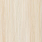 Arctic Silk - Tape-In Hair Extensions
